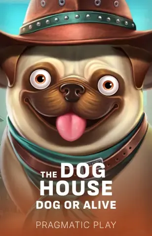 The Dog House – Dog or Alive